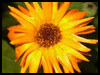 I Am Here! - Breaking Up ecards - Inspirational / Encourage / Support Greeting Cards