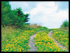 Make A Difference! - Retirement ecards - Congratulations Greeting Cards