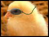 Naked chick! - April Fools' Day ecards - Events Greeting Cards