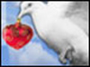 Peace On Christmas! - Merry Christmas ecards - Christmas Greeting Cards