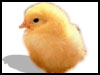Remember me in your prayers! - Friends ecards - Easter Greeting Cards