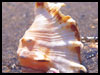 Events & Holidays