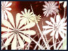 Lord's Choicest Blessing - Prayers & Religious ecards - Thanksgiving Greeting Cards