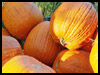 Harvest Of Wishes! - Autumn & Fall ecards - Seasons Greeting Cards