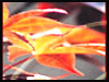 Happy And Colorful Autumn. - Autumn & Fall ecards - Seasons Greeting Cards